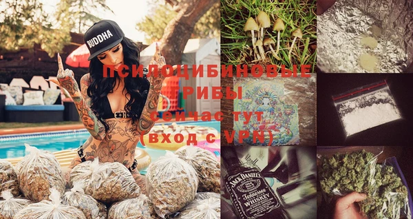 дмт Алзамай