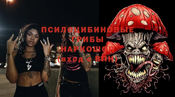 дмт Алзамай