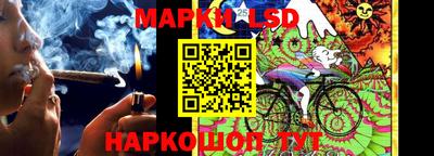 амф Новокубанск
