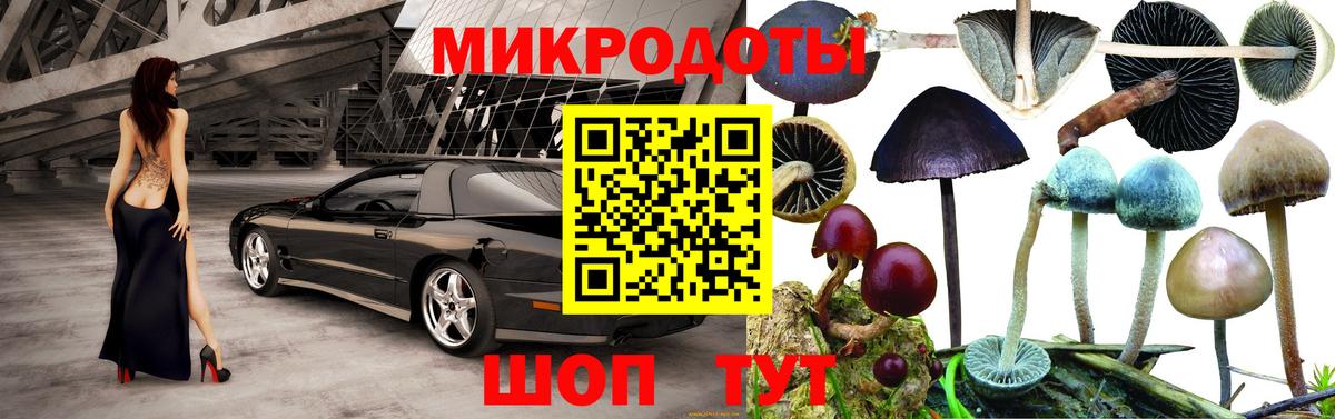 Галлюциногенные грибы Cubensis Нягань